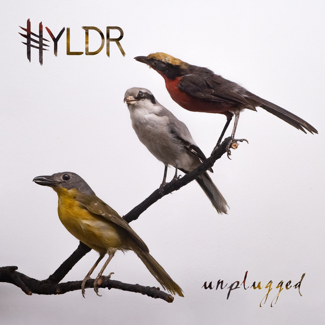 Hyldr Album 1